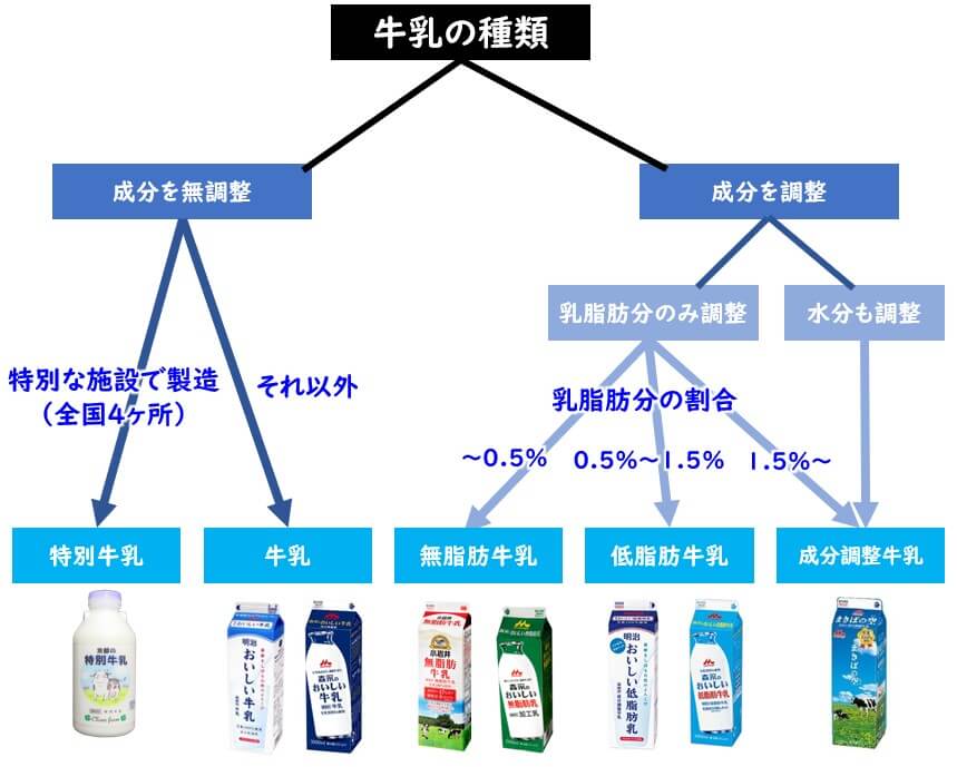 脂肪成分 植物脂肪和动物脂肪 油脂和脂肪 脂肪构成