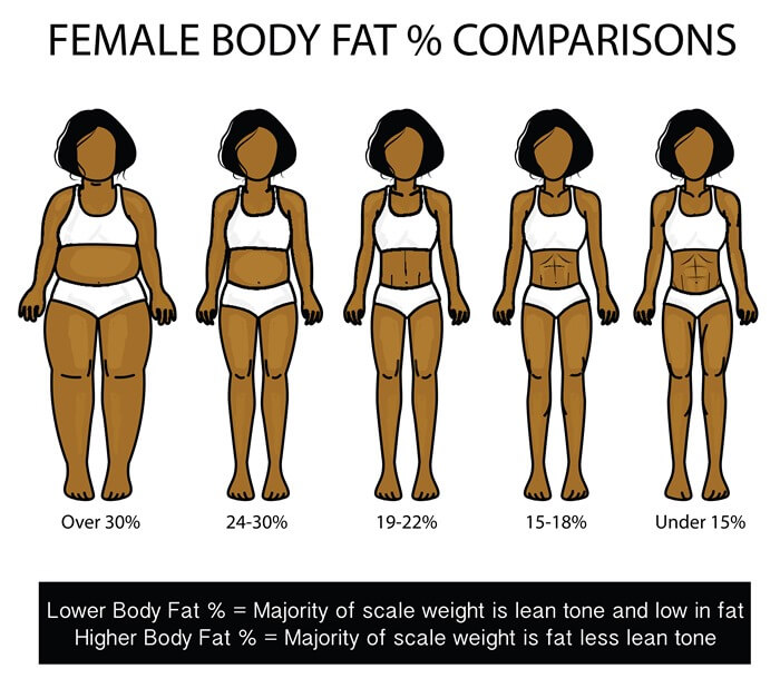 ファッショントレンド ユニーク体脂肪率理想女性
